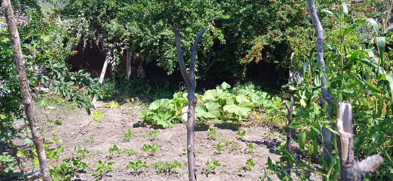 ������� ���� | Imot.bg � ����������� 3