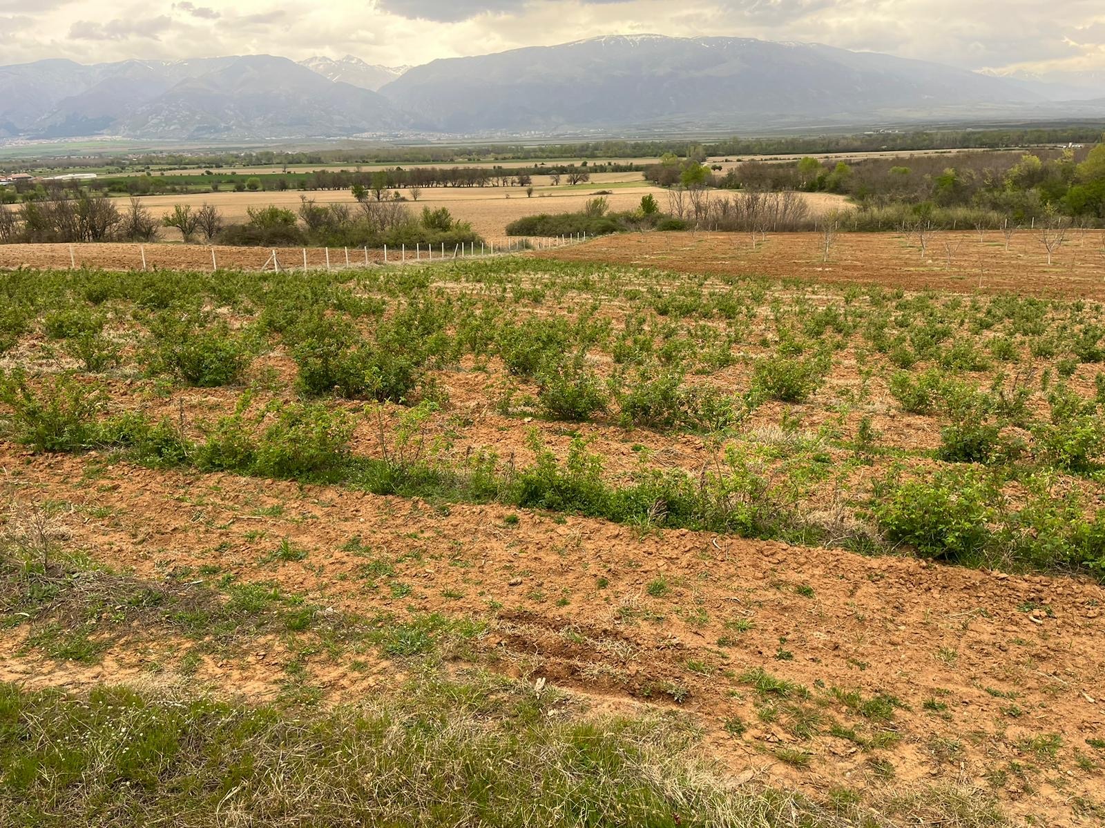 ������� ���������� ���� | Imot.bg � ����������� 2