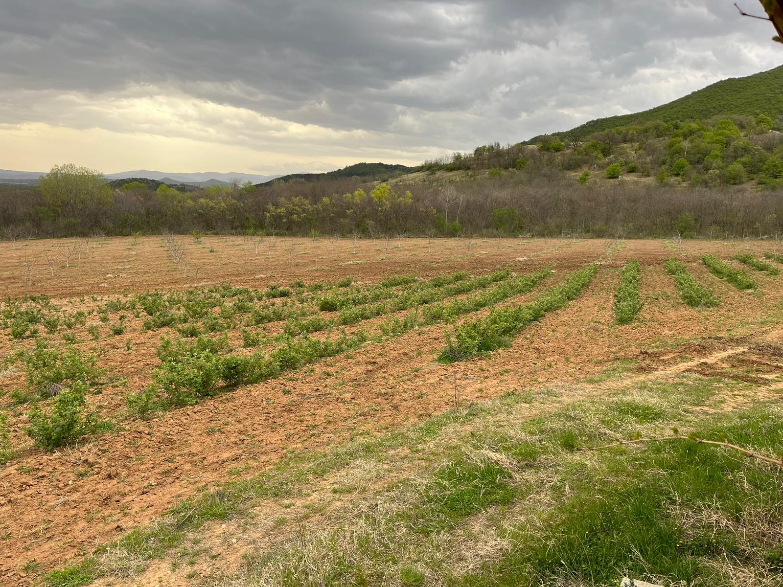 ������� ���������� ���� | Imot.bg � ����������� 4