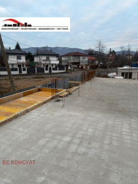 ������ ������� ����