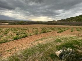 ����� ������� ���������� ����,�. �����������, ������ �������