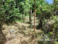 Продава ПАРЦЕЛ, град Варна, м-т Боровец - юг • 72600 € • 61469606 — Holmes.bg