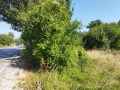 Продава ПАРЦЕЛ, град София, с. Мърчаево • 146250 € • 42093939 — Holmes.bg