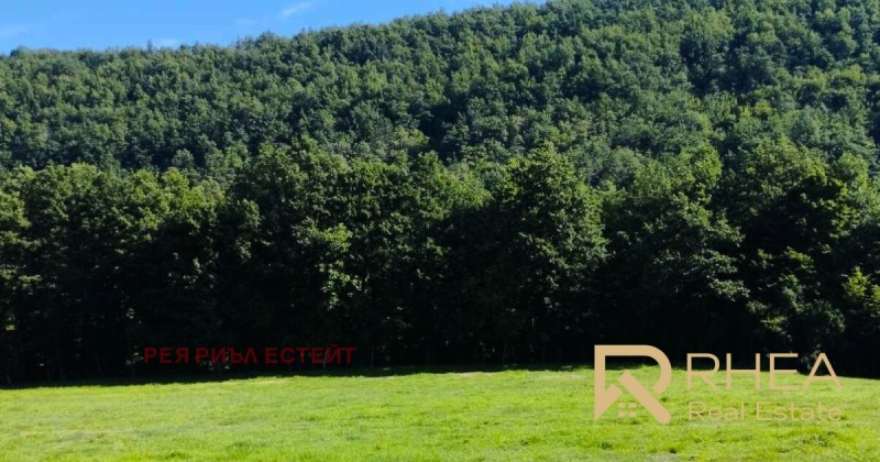 For Sale  Plot region Lovech , Skandaloto , 1651 sq.m | 40366922 - image [3]
