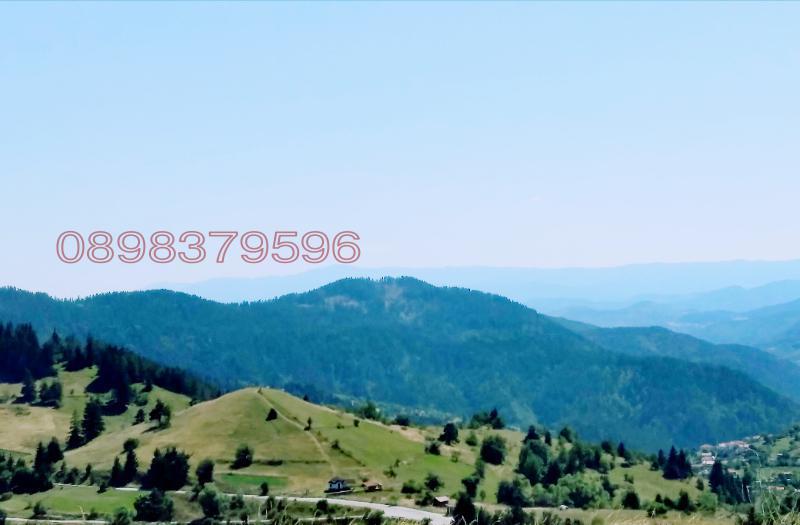 Продава ЗЕМЕДЕЛСКА ЗЕМЯ, с. Момчиловци, област Смолян, снимка 7 - Земеделска земя - 52783687