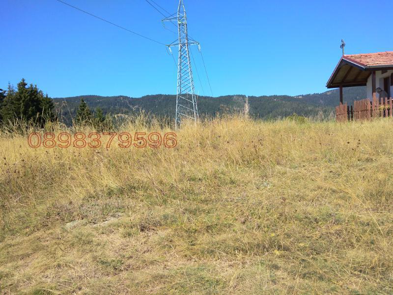 Продава ЗЕМЕДЕЛСКА ЗЕМЯ, с. Момчиловци, област Смолян, снимка 9 - Земеделска земя - 52783687