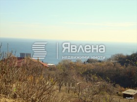 ����� ������� ������,���� �����, �-� ������� - ��