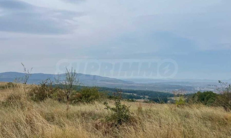 For Sale  Plot region Pernik , Kladnitsa , 2006 sq.m | 30172453 - image [4]