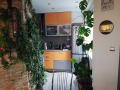 Продава МЕЗОНЕТ, град Пазарджик, Идеален център • 200000 € • 36836661 — Holmes.bg
