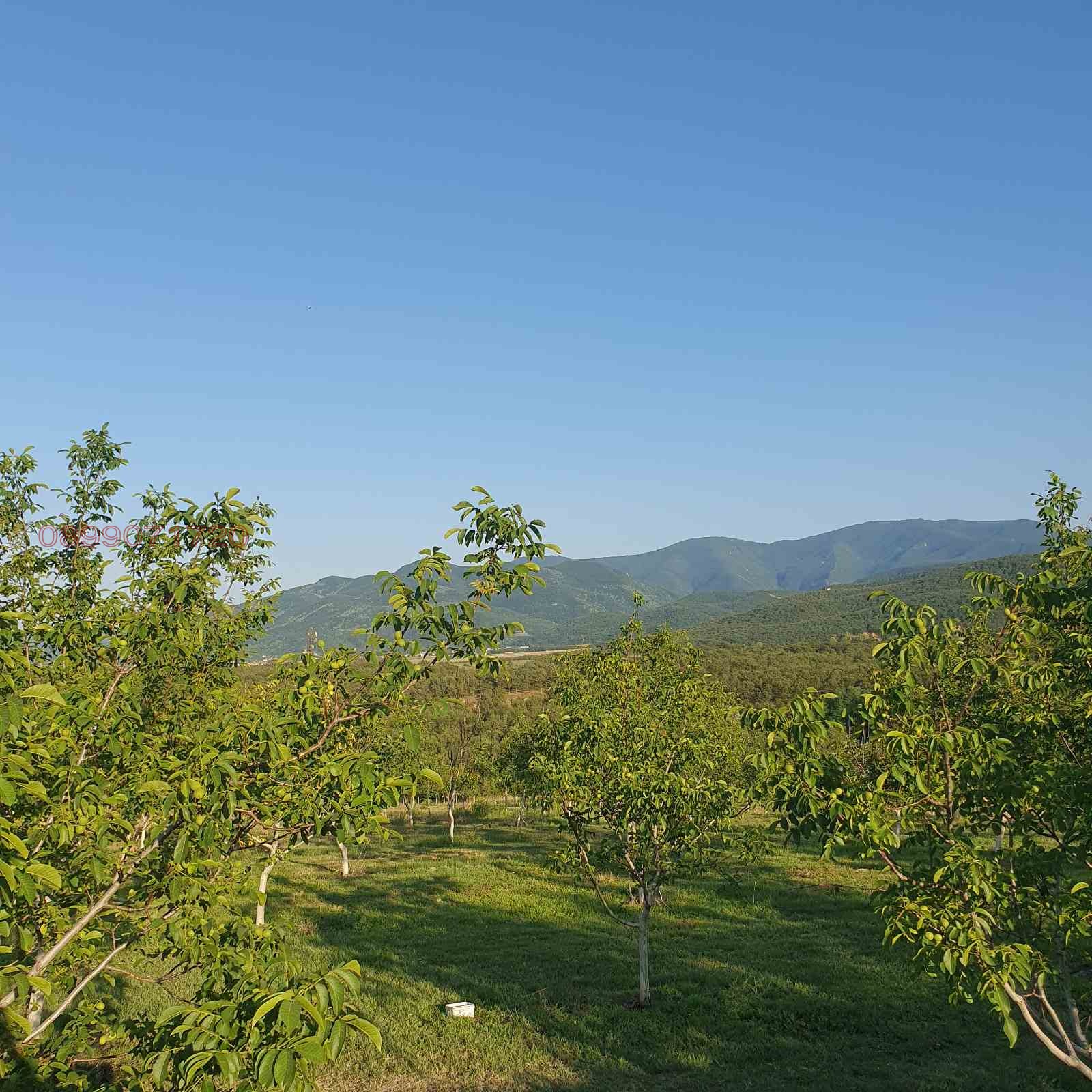 ������� ���������� ���� | Imot.bg � ����������� 11