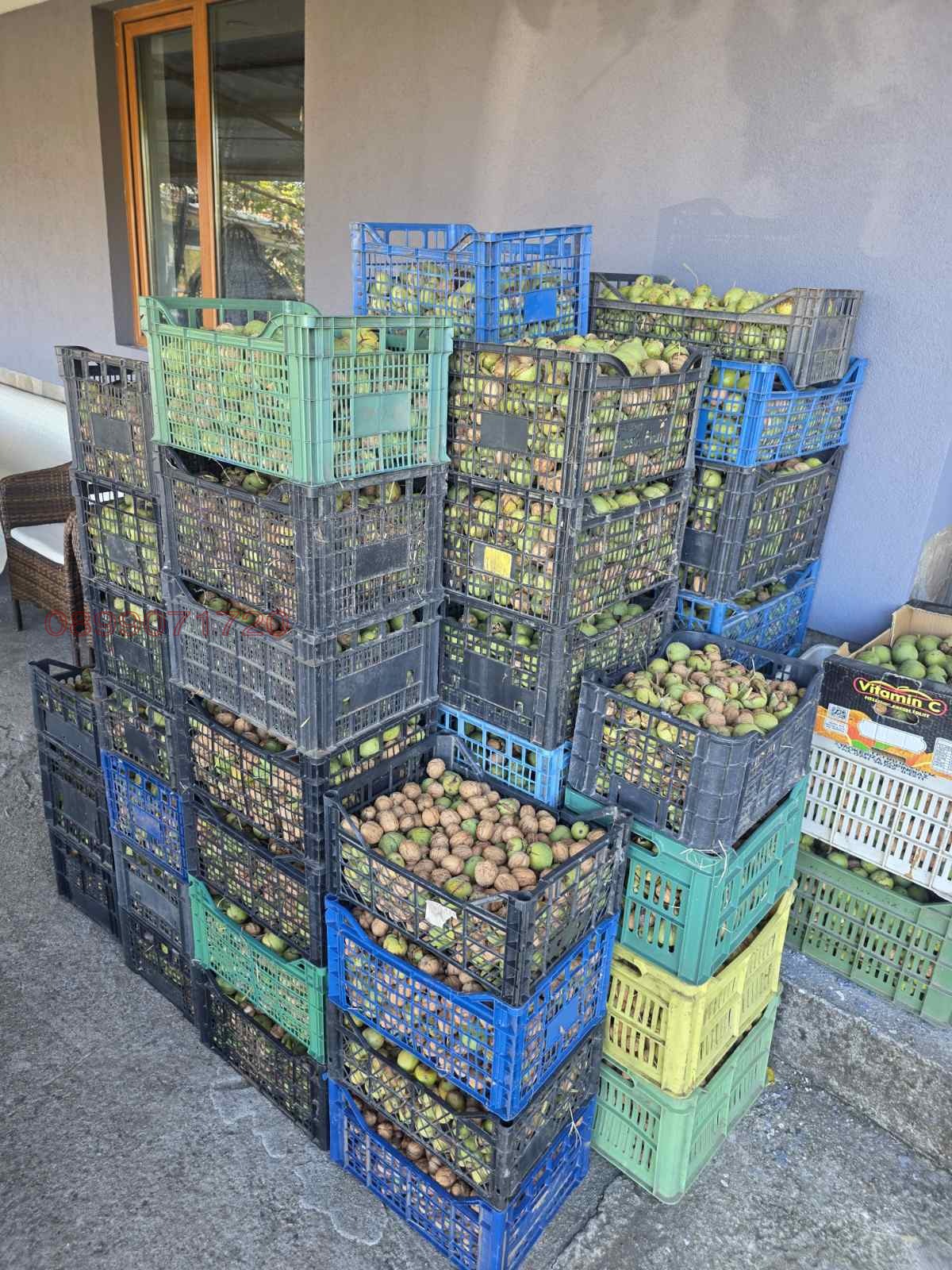 ������� ���������� ���� | Imot.bg � ����������� 15