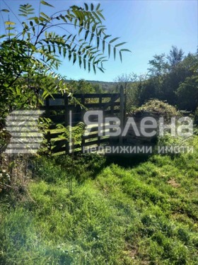 Продава парцел област Варна с. Петров дол - [1] 