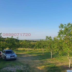 ������� ���������� ���� | Imot.bg � ����� ������ 8