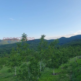 ������� ���������� ���� | Imot.bg � ����� ������ 5
