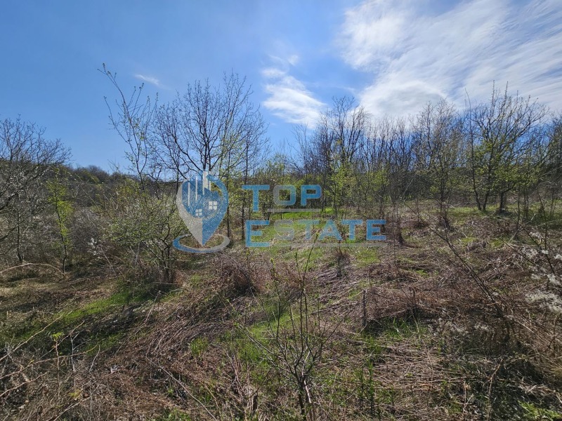 Til salg  Grund region Veliko Tarnovo , Hotnitsa , 2230 kvm | 70785927 - billede [4]