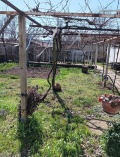 Продава КЪЩА, гр. Сухиндол, област Велико Търново, снимка 1