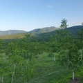 Продава  Земеделска земя област Пловдив , с. Горнослав , 40 дка | 48577111 - изображение [4]