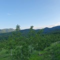 Продава  Земеделска земя област Пловдив , с. Горнослав , 40 дка | 48577111 - изображение [5]
