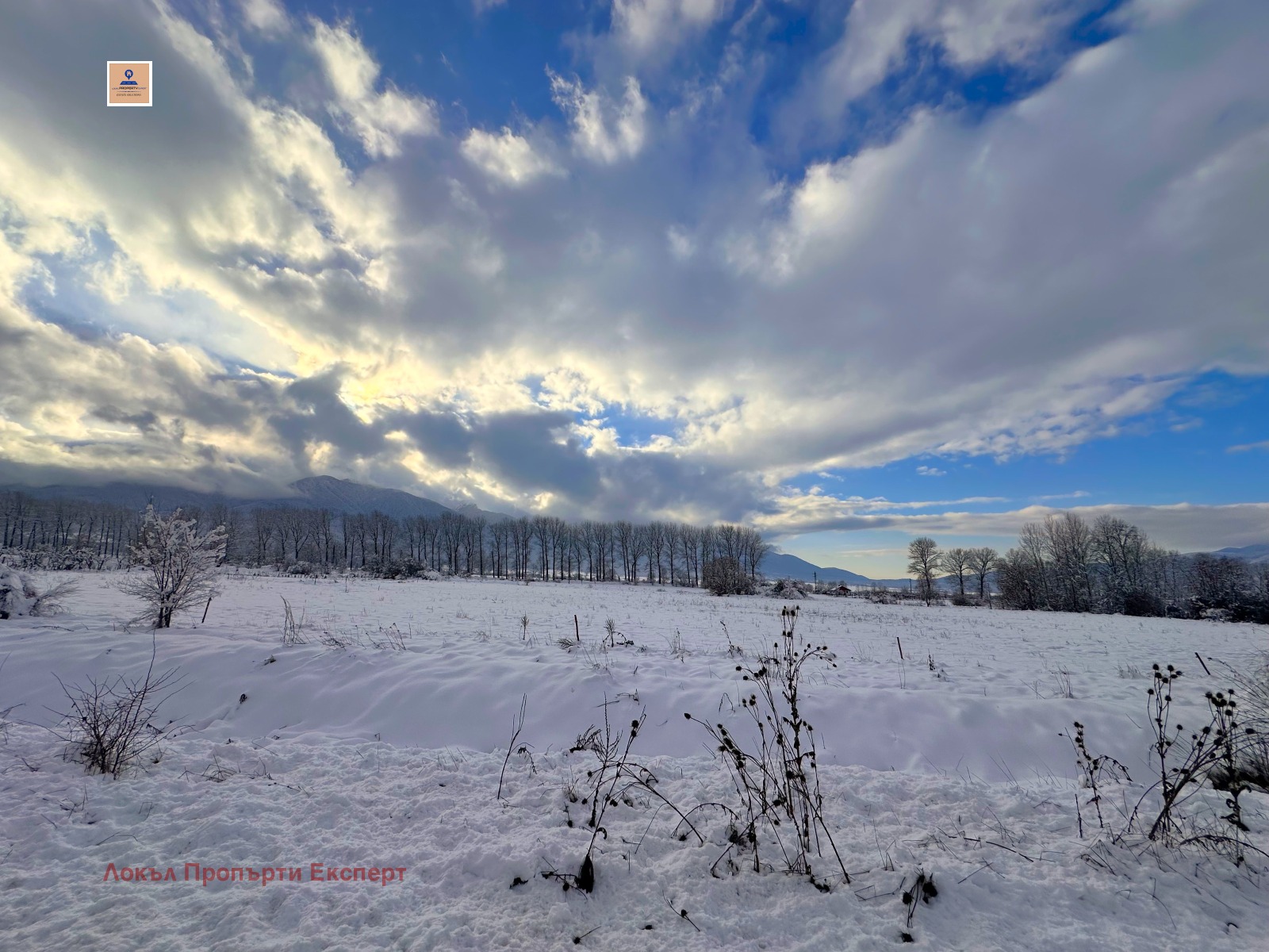 ������� ������ | Imot.bg � ����������� 3