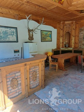 ����� ������� ����,���� �����, ����������