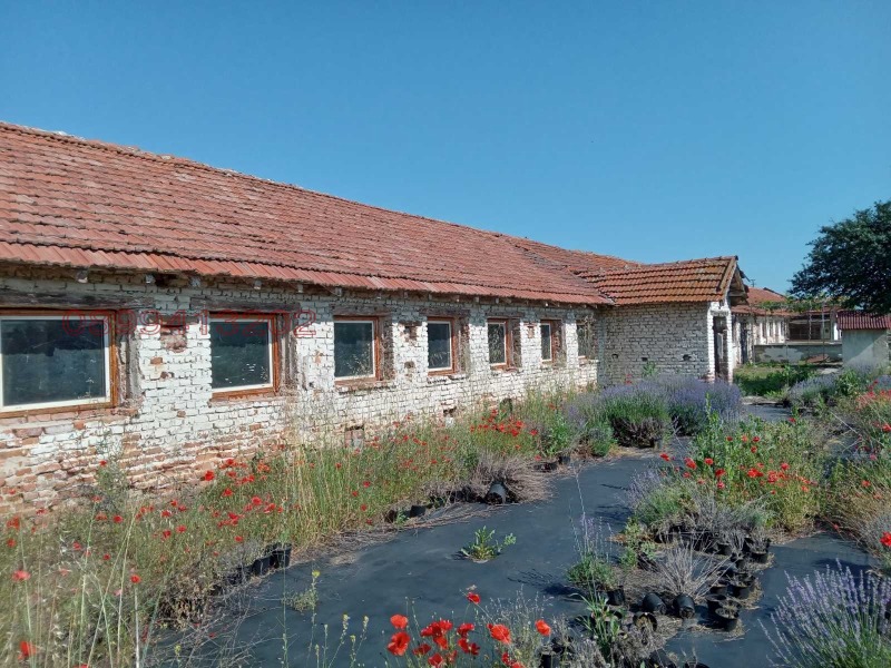 Zu verkaufen  Industriegebäude region Pasardschik , Saraja , 2989 qm | 34010599 - Bild [7]