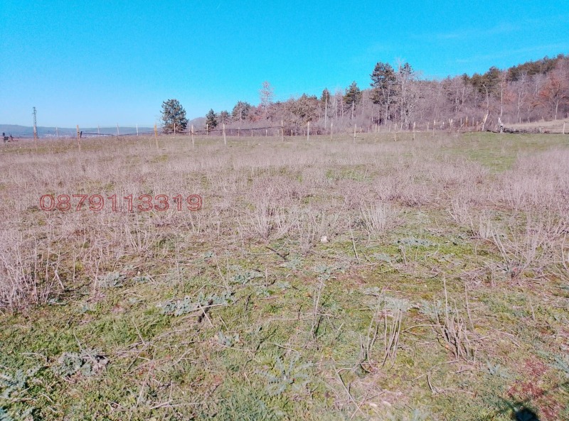 Продава ПАРЦЕЛ, с. Просеник, област Бургас