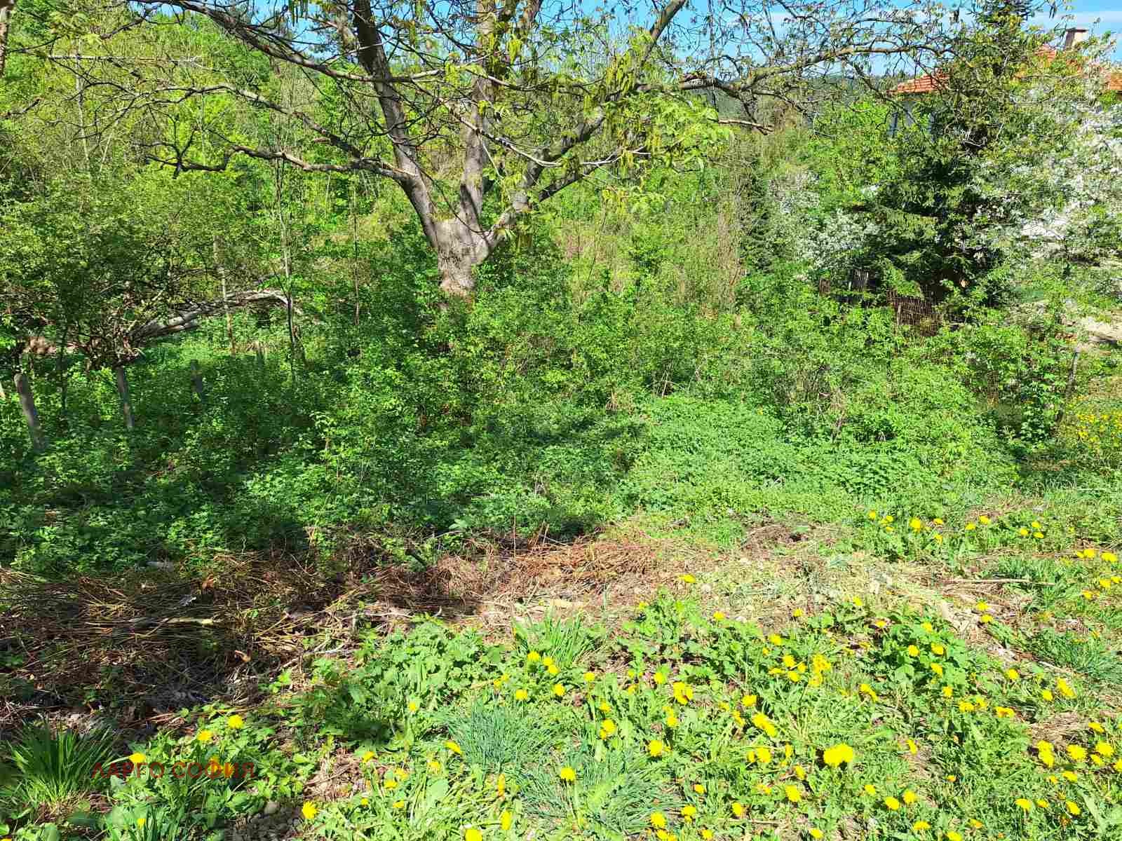 Продава ПАРЦЕЛ | Imot.bg — изображение 2