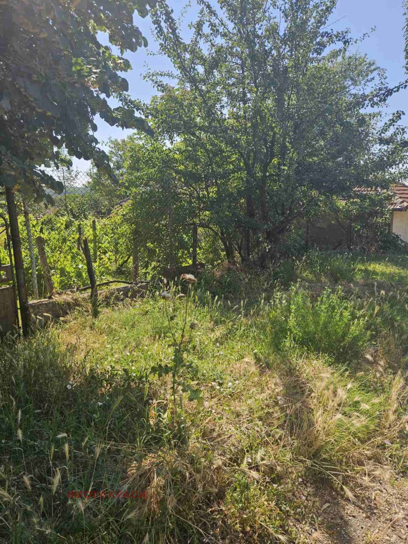 Продава  Къща област Русе , с. Просена , 69 кв.м | 65474291 - изображение [2]