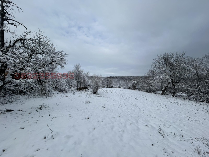 Продава КЪЩА, с. Бресте, област Плевен, снимка 12 - Къщи - 53326218