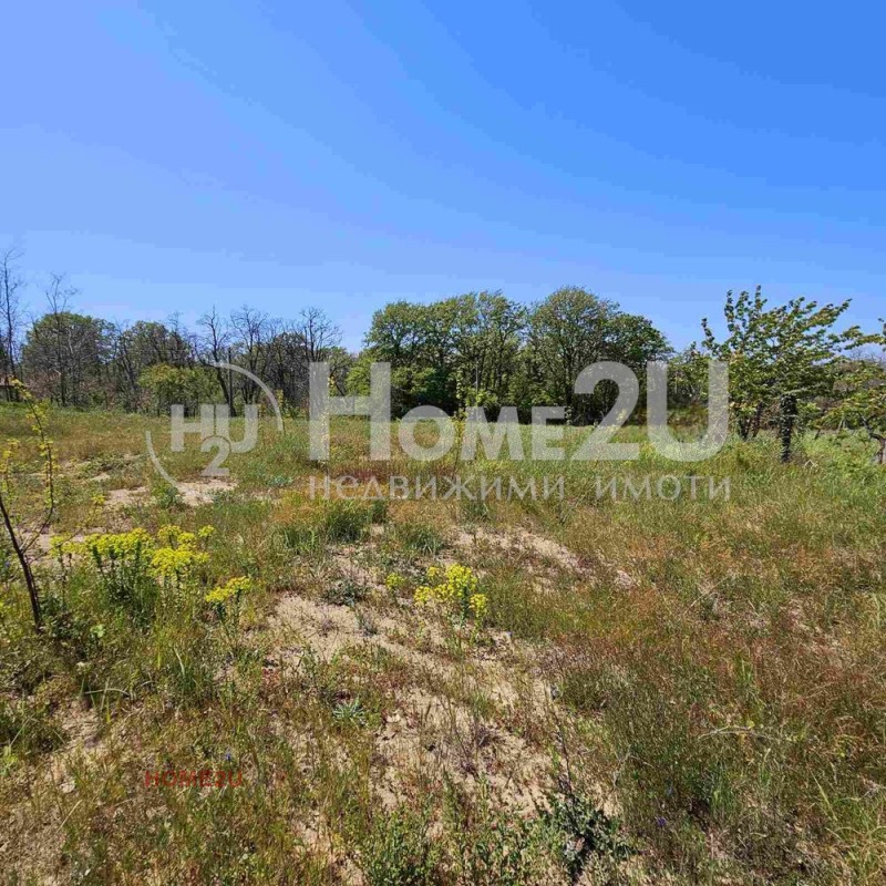 Na prodej  Spiknutí oblast Varna , Benkovski , 4600 m2 | 88104567