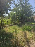 Продава КЪЩА, област Русе, с. Просена • 30000 лв. • 91563251 — Holmes.bg