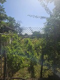 Продава КЪЩА, област Русе, с. Просена • 30000 лв. • 91563251 — Holmes.bg