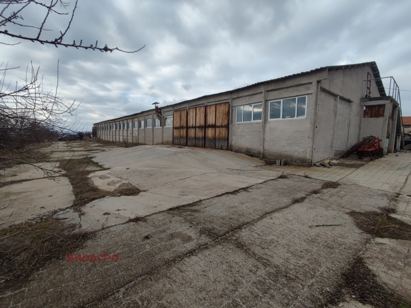 Продава ПРОМ. ПОМЕЩЕНИЕ в област София, с. Богьовци - 5000 кв.м / 390 000 € » 762 773.70 лв., БИОАГРО