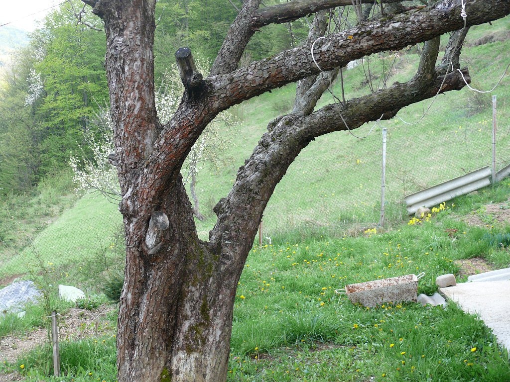 Продава ПАРЦЕЛ | Imot.bg — изображение 2