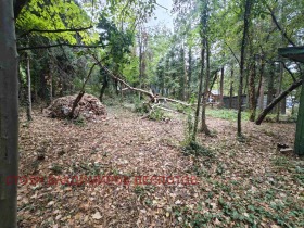 ������� ������ | Imot.bg � ����� ������ 5