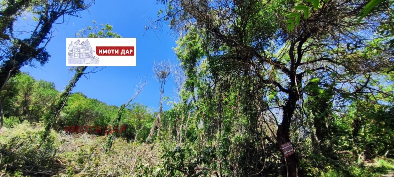For Sale  Plot region Dobrich , Balchik , 1304 sq.m | 50188478 - image [5]