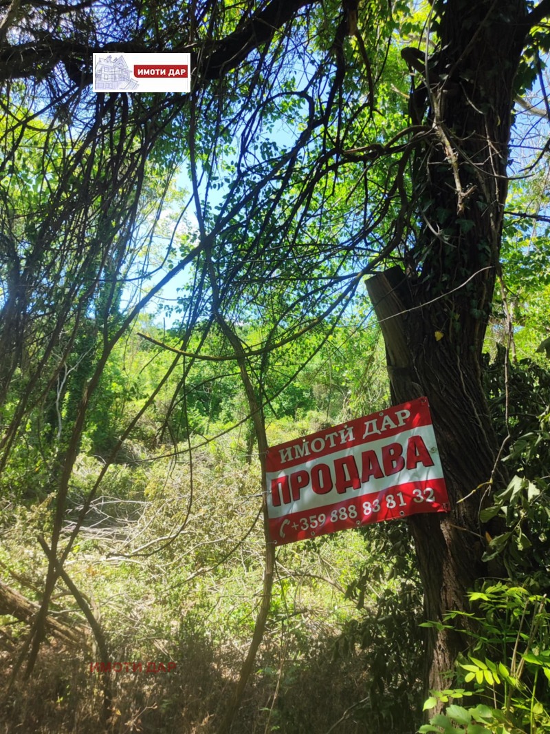 For Sale  Plot region Dobrich , Balchik , 1304 sq.m | 50188478