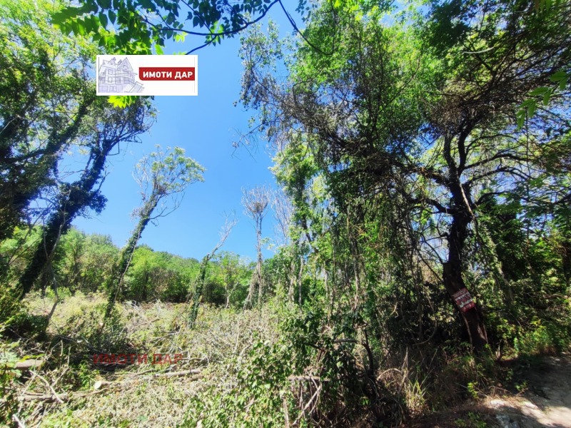 For Sale  Plot region Dobrich , Balchik , 1304 sq.m | 50188478 - image [2]
