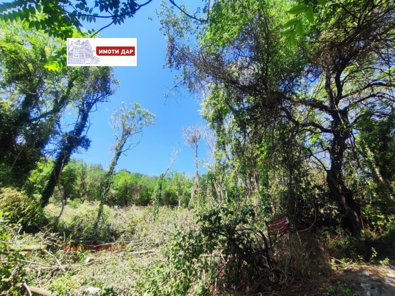 For Sale  Plot region Dobrich , Balchik , 1304 sq.m | 50188478 - image [3]