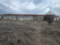 Продава ПРОМ. ПОМЕЩЕНИЕ, с. Богьовци, област София област, снимка 14
