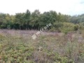 Продава ПАРЦЕЛ, област Велико Търново, с. Велчево • 17000 € • 95838549 — Holmes.bg