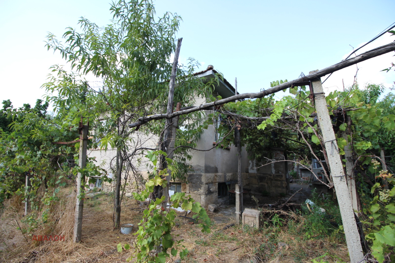 ������� ���� | Imot.bg � ����������� 5