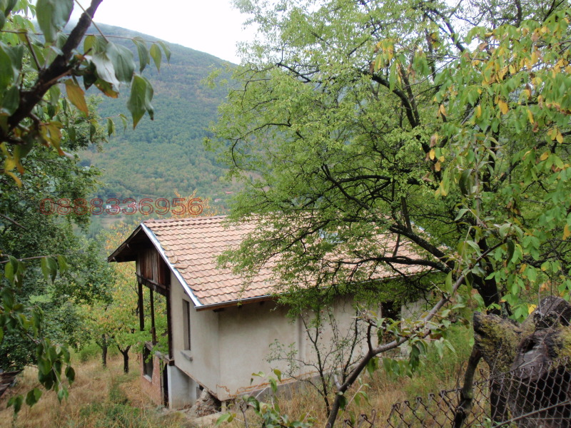 Продава КЪЩА, гр. Своге, област София област