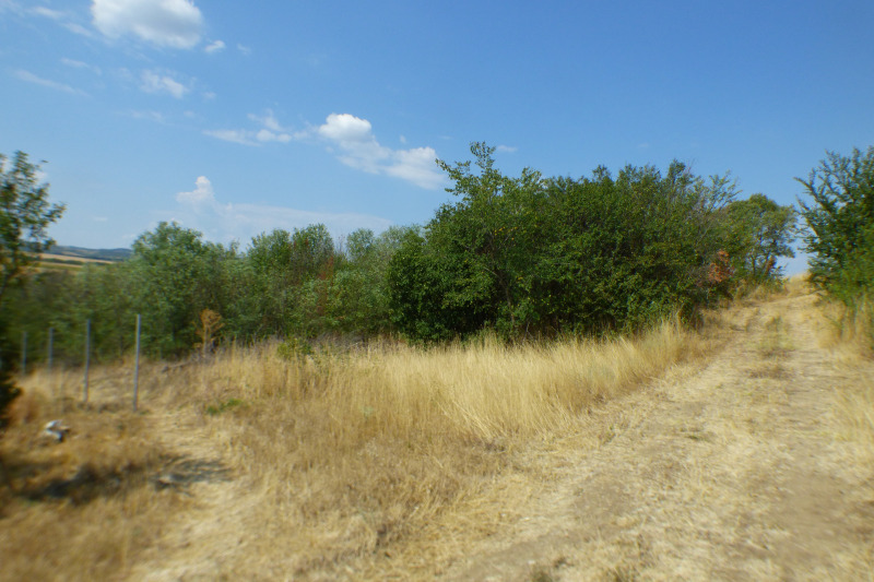 Na prodej  Spiknutí oblast Sofia , Aldomirovci , 1200 m2 | 54049192 - obraz [16]