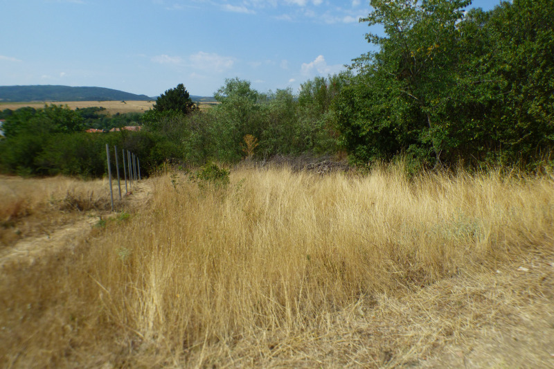 Na prodej  Spiknutí oblast Sofia , Aldomirovci , 1200 m2 | 54049192 - obraz [3]