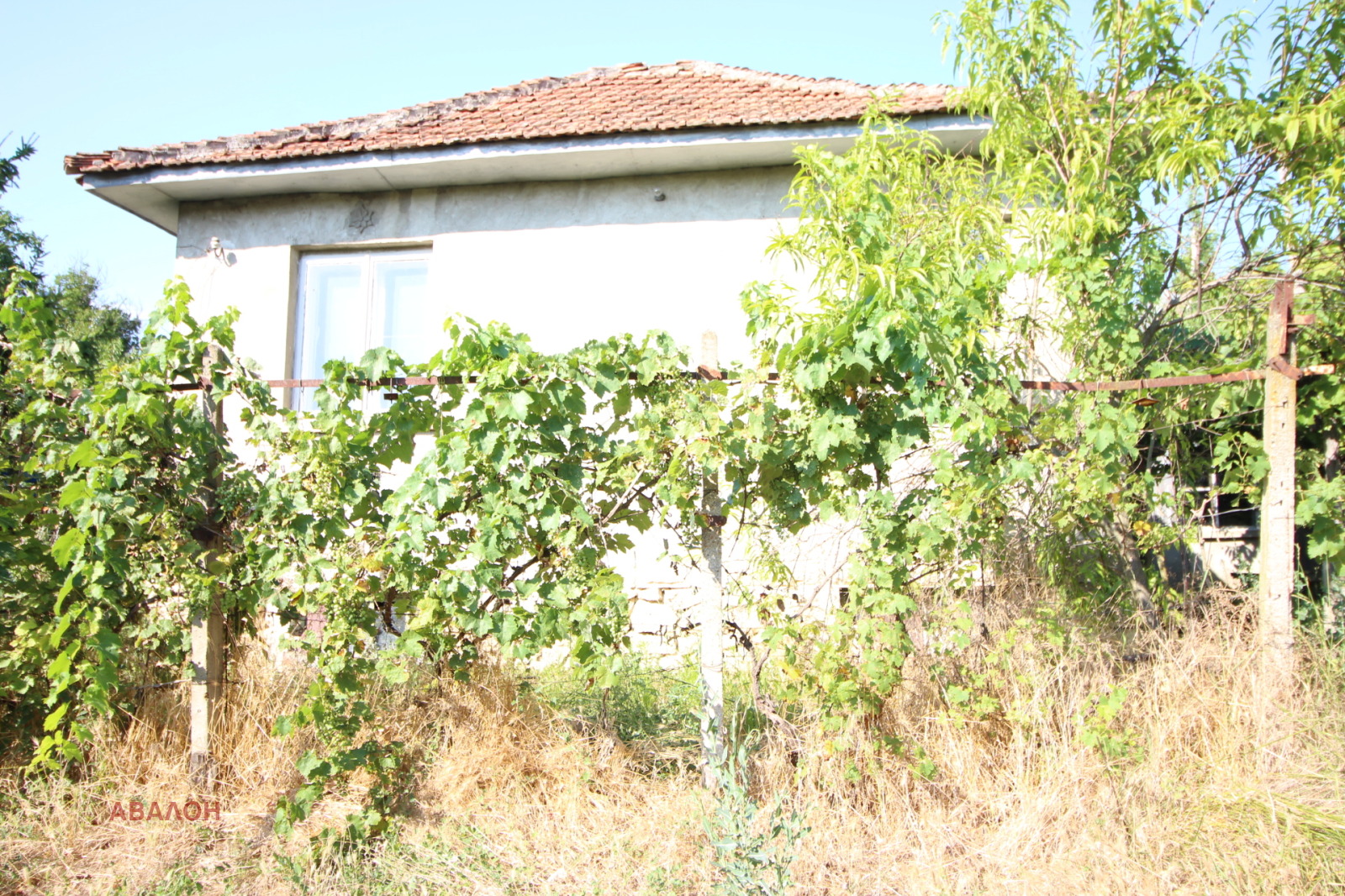 Продава КЪЩА, с. Пиргово, област Русе, снимка 3 - Къщи - 55843033