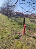 Продава ПАРЦЕЛ, област Стара Загора, с. Тулово • 30000 € • 36125036 3