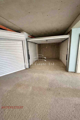 ����� ������� �����,���� ������, ��������