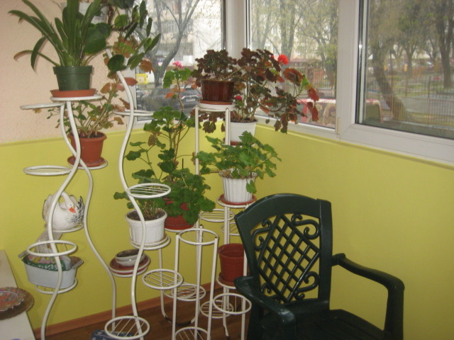 Продава 3-СТАЕН, гр. Пазарджик, Идеален център, снимка 7 - Апартаменти - 54075227