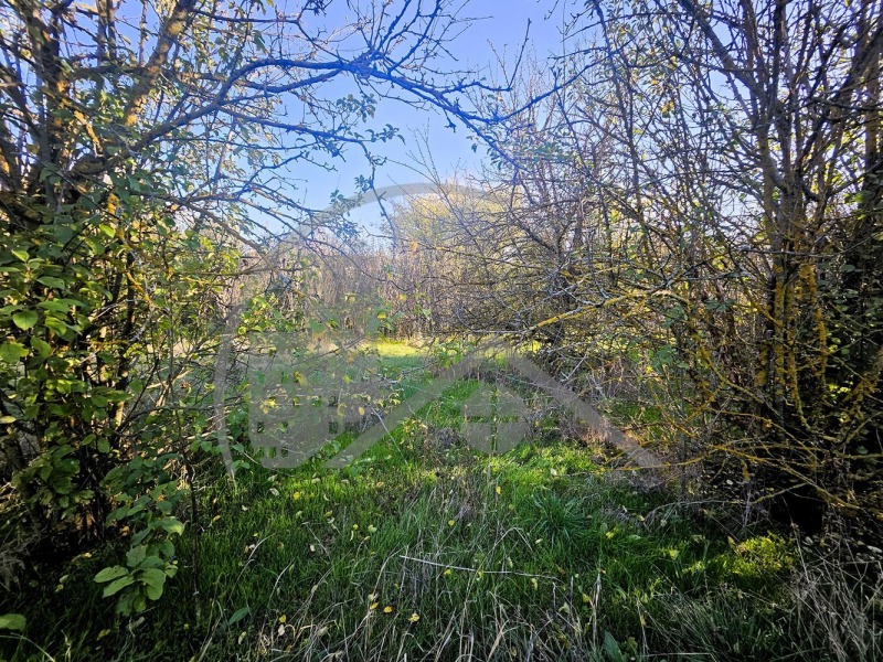 Продава КЪЩА, с. Червенци, област Варна, снимка 2 - Къщи - 52982623